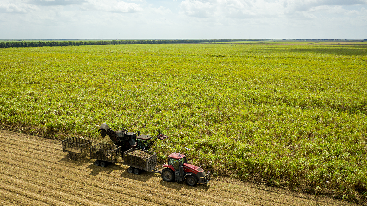 1280x720-ASR-0378_DJI_0282_v01